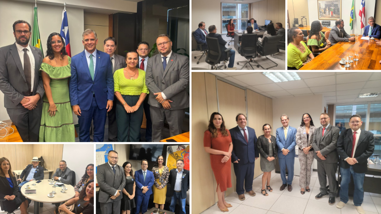 SINDSEMP-BA intensifica articulação política em Brasília durante Plantão Concentrado da FENAMP